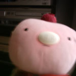 photo8