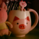 photo9